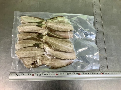 (687)ガンゾウヒラメ　塩干