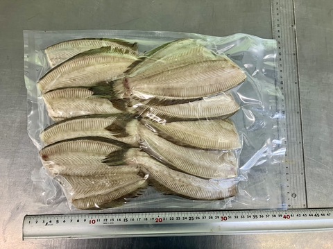 (666)ガンゾウヒラメ塩干　大