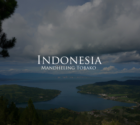 インドネシア マンデリン トバコ　200g