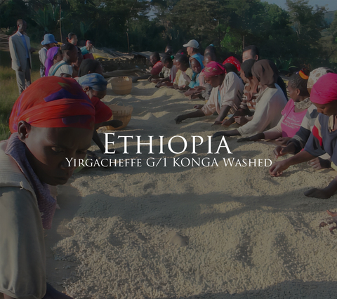 エチオピア イルガチェフェG1 コンガ ウォッシュド 200g