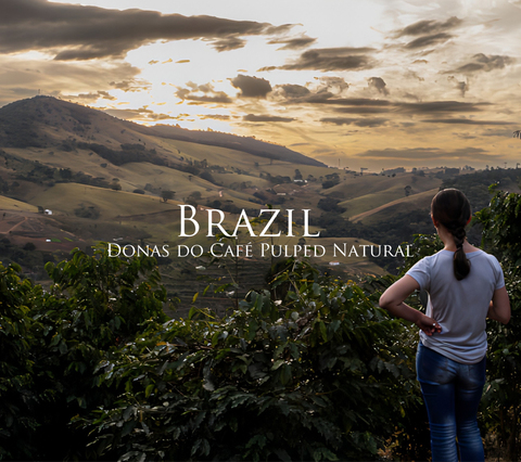 ブラジル ドーナス・ド・カフェ PN　200g