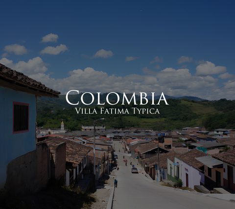 コロンビア　ビジャ　ファティマ　ティピカ 200g