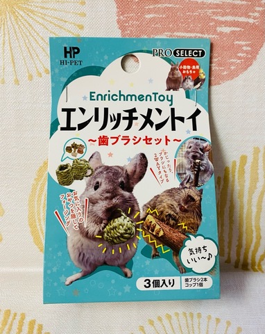 歯ブラシセット