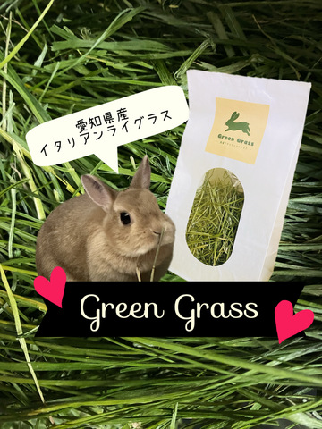 愛知県産イタリアンライグラス