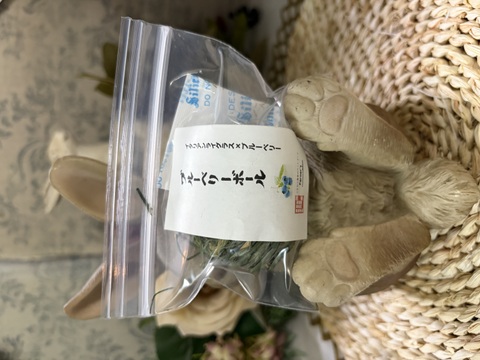 ブルーベリーボール１個入