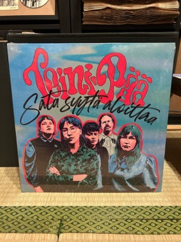 Teini Pää - Sata Syytä Aloittaa(LP)