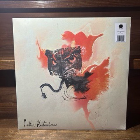 Lasten Hautausmaa - IV (LP)