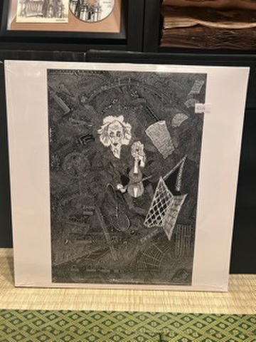 RUDIMENTARY PENI - Cacophony(LP)