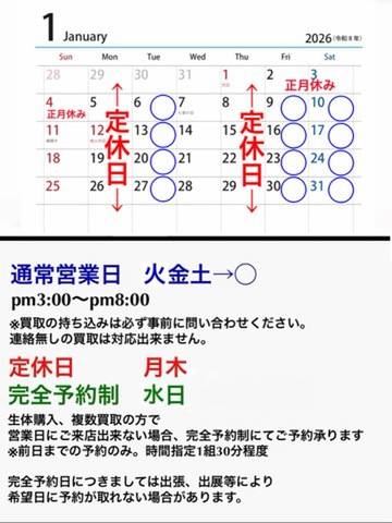 roomzoo 営業日 2026.1月