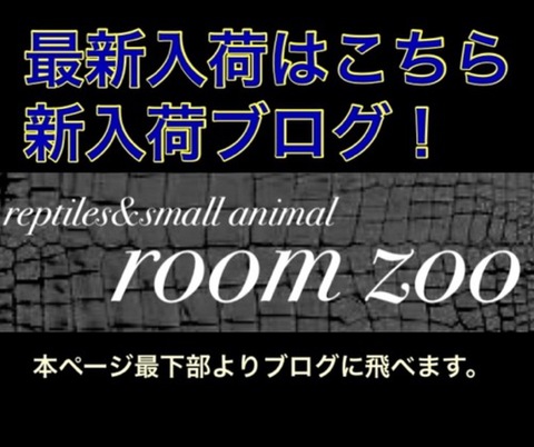 new! 最新入荷はブログで先行アップ中！ほぼ毎日更新中！