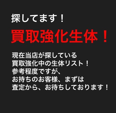 new!超〜買取強化生体！探してます！ 国内ブリード個体買取強化！
