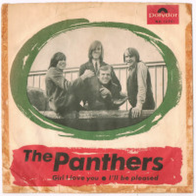 THE PANTHERS / I'LL BE PLEASED