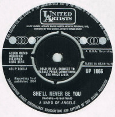 A BAND OF ANGELS / SHE'LL NEVER BE YOU
