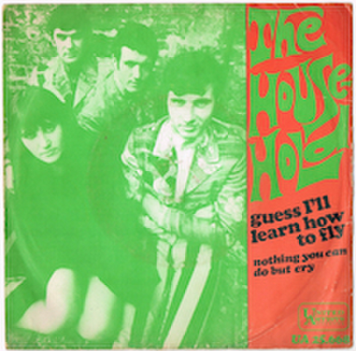THE HOUSEHOLD / GUESS I'LL LEARN HOW TO FLY