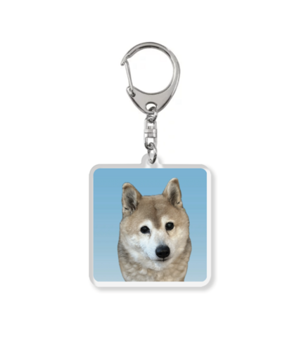 サニーデイ・サービス / コハル アクリルキーホルダー（acrylic key chain)