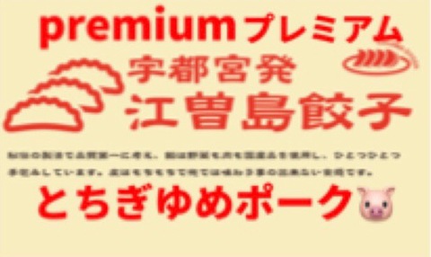 [限定] プレミアム江曽島餃子(冷凍)