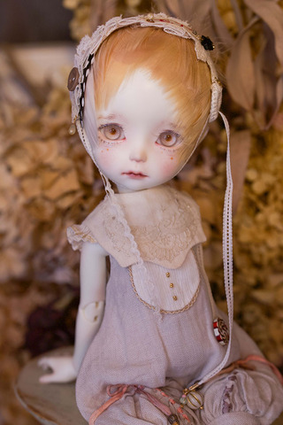 羽根ウィッグ＋accessory set brown