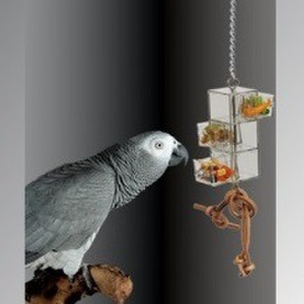 ☆フォージングトイ(採食おもちゃ)の商品一覧 | 鳥のおもちゃ