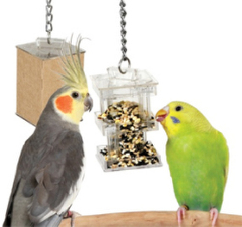 ☆フォージングトイ(採食おもちゃ)の商品一覧 | 鳥のおもちゃ専門店