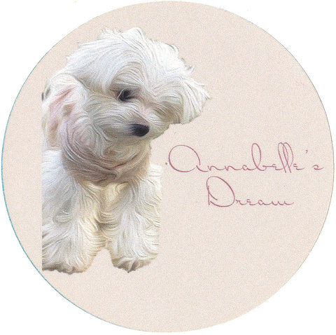 Annabelle Sticker II
