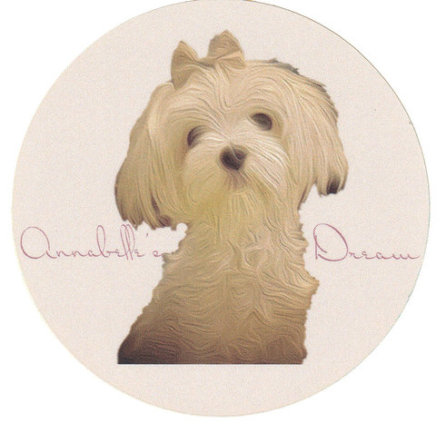 Annabelle Sticker III