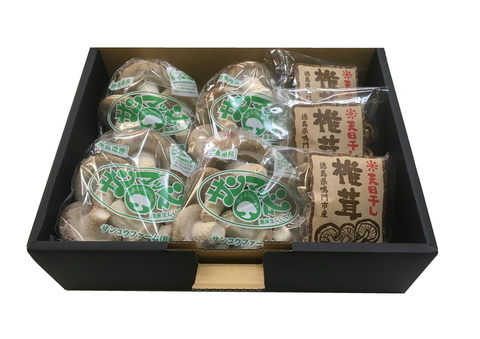 S-01　生椎茸４袋　＋　干し椎茸（３０ｇ）3袋セット