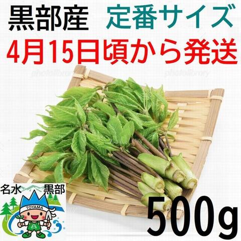 薬石苑】姫川薬石・かっさ・石笛・温浴・季節の山菜＆苗 通販