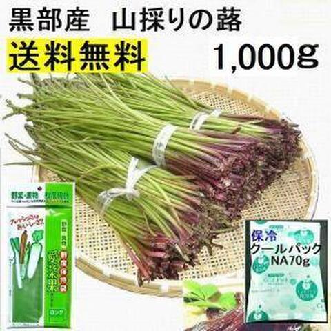 【薬石苑】姫川薬石 手造りかっさ＆ツボ押しプレート【翠岳：作】 103ｍｍ68ｇ sazare112-01.jpg