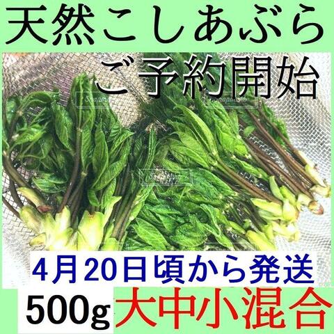 薬石苑】姫川薬石・かっさ・石笛・温浴・季節の山菜＆苗 通販