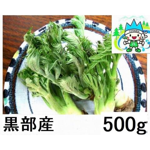 薬石苑】姫川薬石・かっさ・石笛・温浴・季節の山菜＆苗 通販