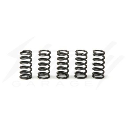 SMR 5pc Clutch Spring Upgrade CBR250R CB250R CB250F REBEL250 
