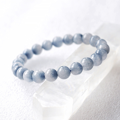 はくとん( 'ω')ŧ‹