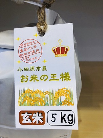 新米 農薬化学肥料不使用 小田原の米 お米の王様 いのちの壱 玄米 5ｋｇ