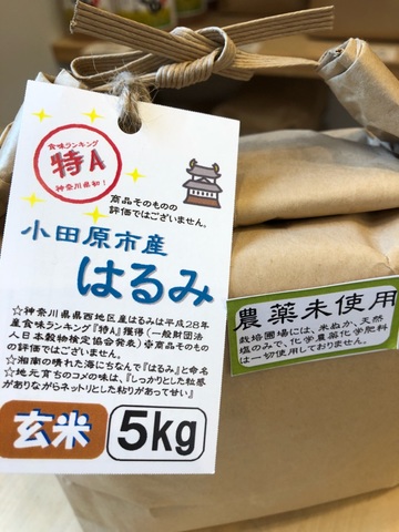 R5年産 農薬化学肥料不使用 小田原の米 はるみ 玄米 5kg