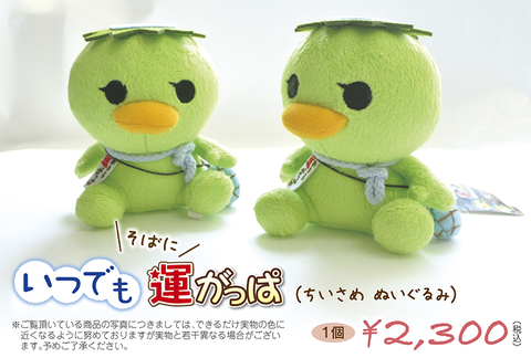 いつでも そばに 運がっぱ（ちいさめ ぬいぐるみ）