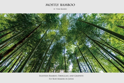 『MOSTLY BAMBOO』　阪東 幸成 著　　ふらい人書房