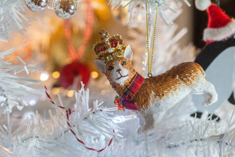 商品一覧 - sobachkoi