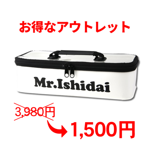 訳あり　クリアピトンケース
