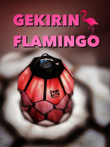 逆鱗FLAMINGO予約
