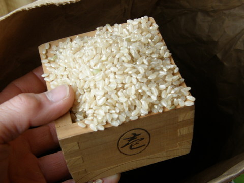 無農薬うるち米（白米３キロ）