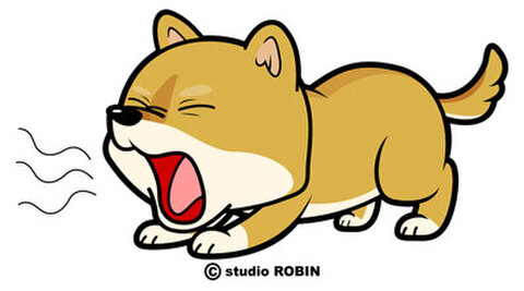 ★柴犬(あくび）★INU-042