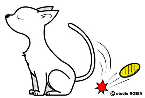★猫に小判★PRO-003