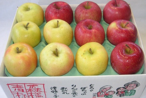 早生ふじ・トキ 詰合せ　家庭用　3kg