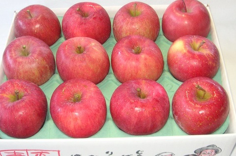 CAサンふじ　家庭用　3kg