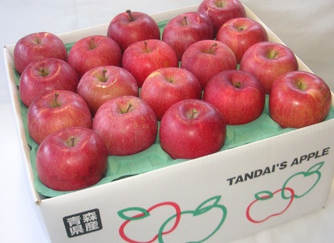 CAサンふじ　家庭用　10kg