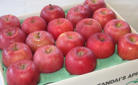 CAサンふじ　家庭用　5kg