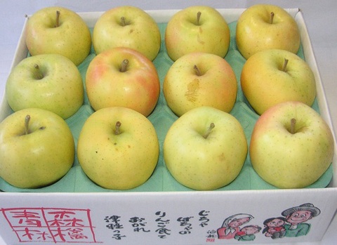 CASF王林　B級　3kg