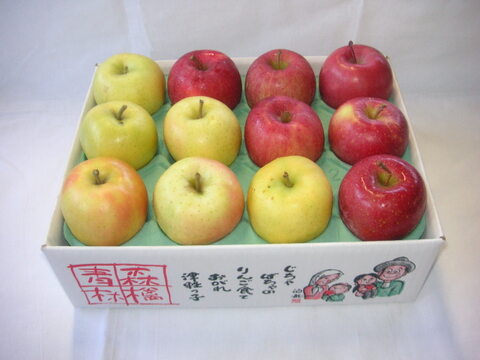 CAサンふじ・CASF王林 詰合せ　家庭用　3kg
