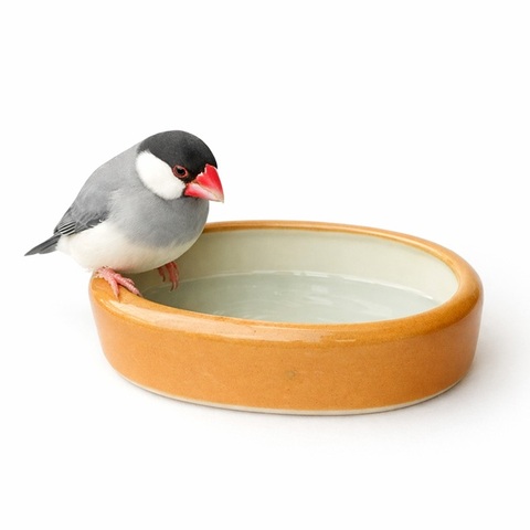 古い時代の陶器製オレンジ色の鳥さんの水浴び器(小)/エサ入れなどにも