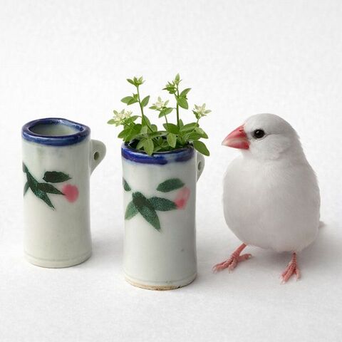 商品一覧 - たんぽぽ|昭和レトロ食器・趣味の陶器
